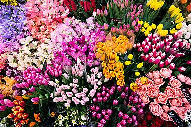 新《战地》海量概念图泄露 单人战役将有很多大场面